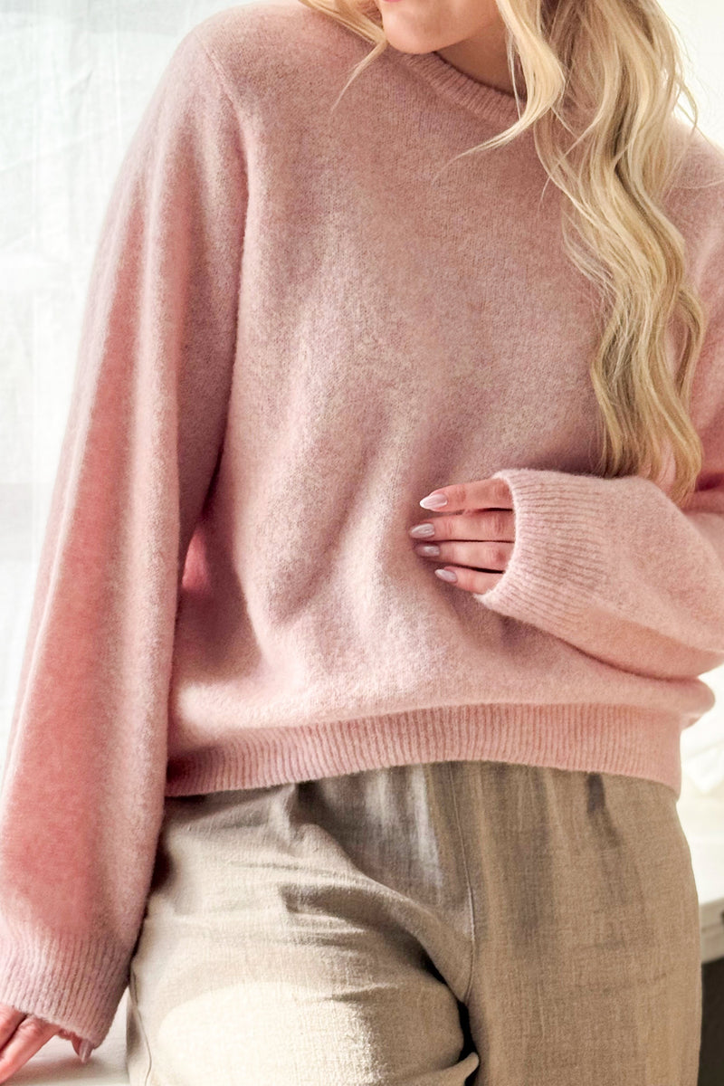 Montine neule, rose