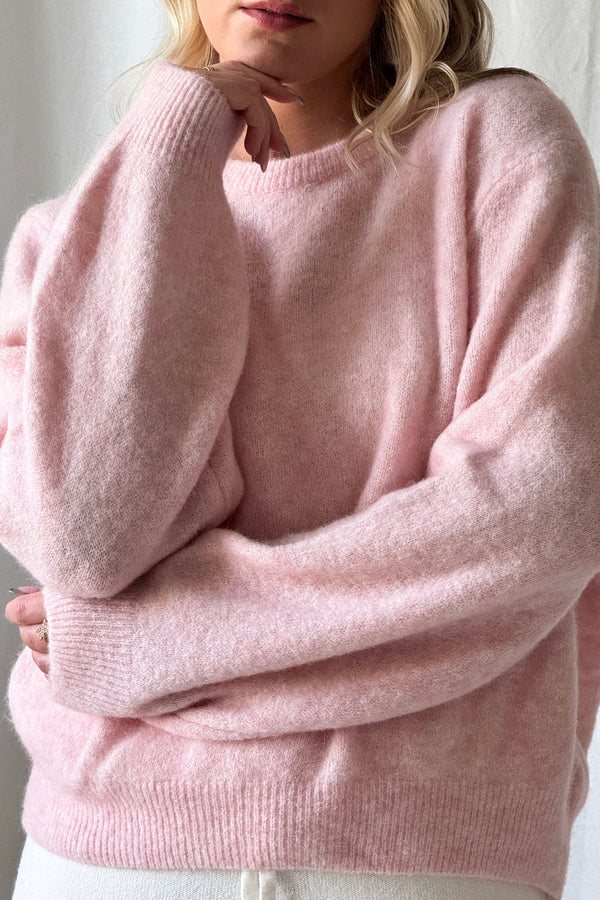 Montine neule, rose