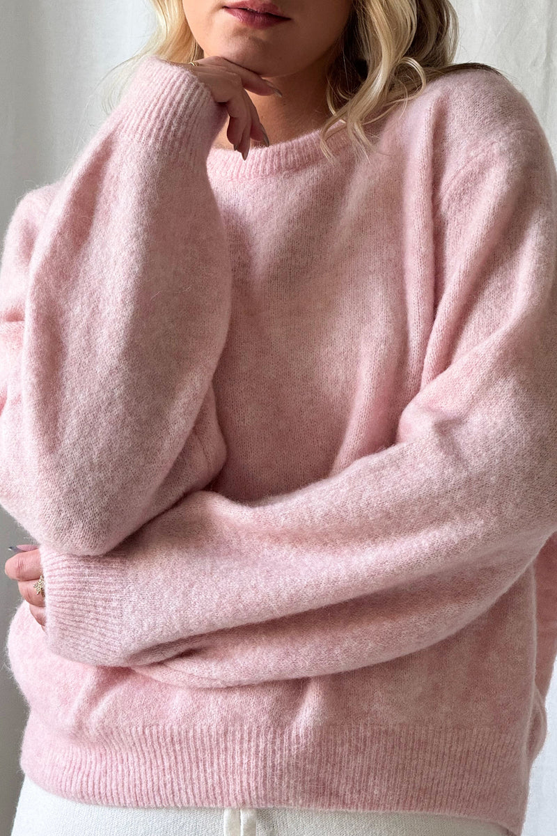 Montine neule, rose